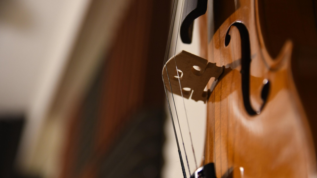 La Chambre Symphonique en Concert à la Basilique Notre-Dame