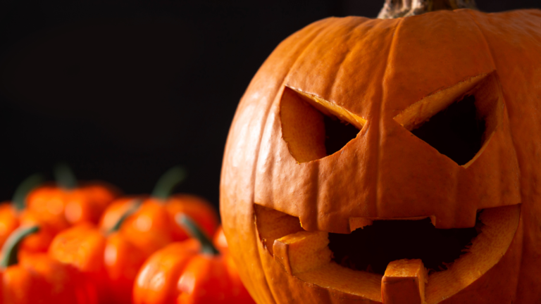 Que faire pour Halloween à Beaune ?