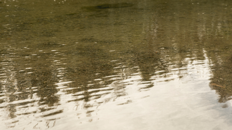 Un exercice d’inondation pour tester la réaction du territoire