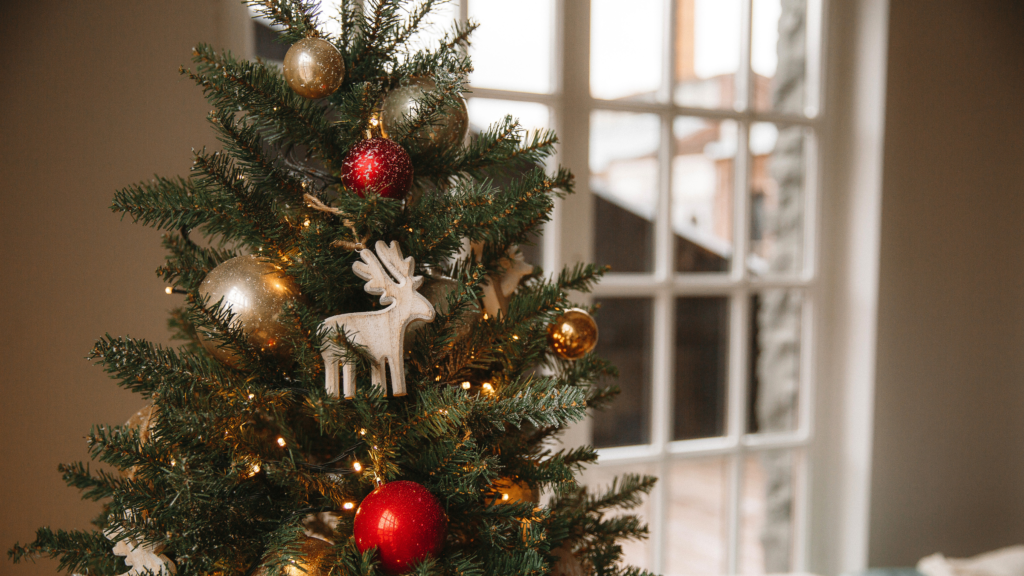 Recyclez votre sapin de Noël