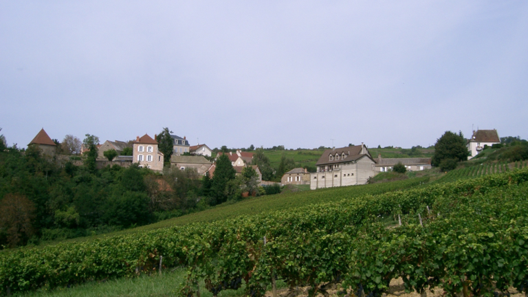 Saint-Vincent Tournante Maranges 2026 : toutes les clés pour s’y rendre