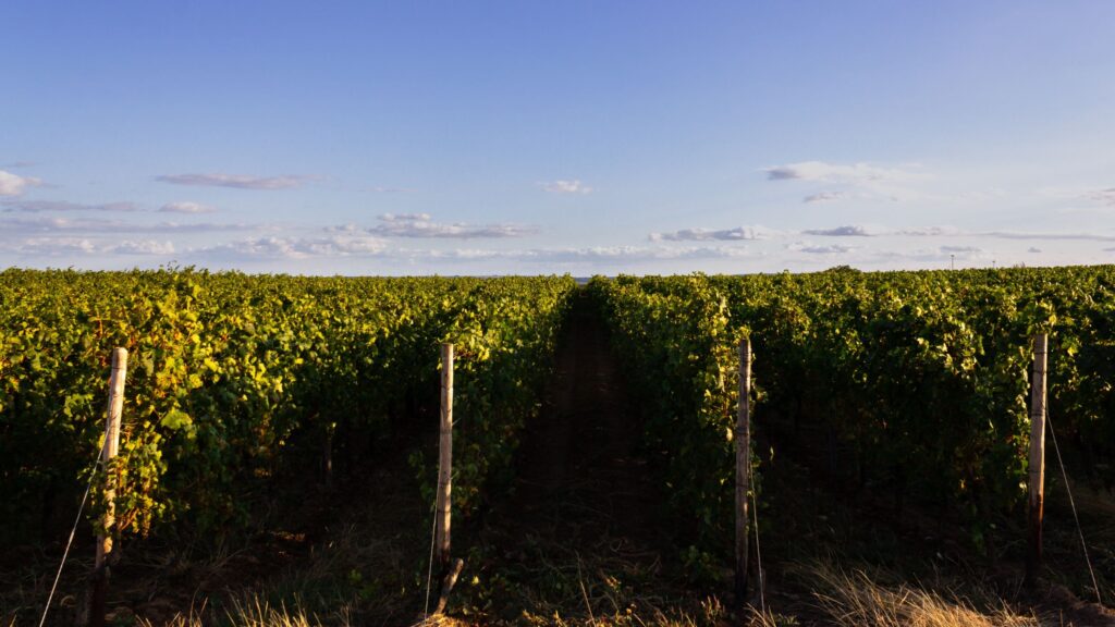 Côte-d’Or : 2ème département le plus gourmet