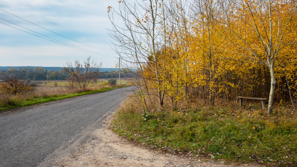Tempête Nils : plus de 70 interventions sur les routes de Côte-d’Or