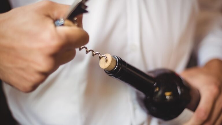 Vivez une odyssée viticole nocturne au Domaine Besancenot