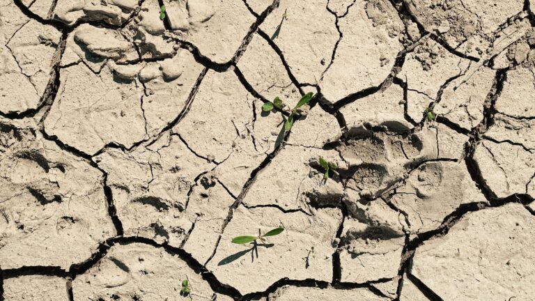 Sécheresse : dix-sept communes du Pays Beaunois placées sous restrictions d’eau