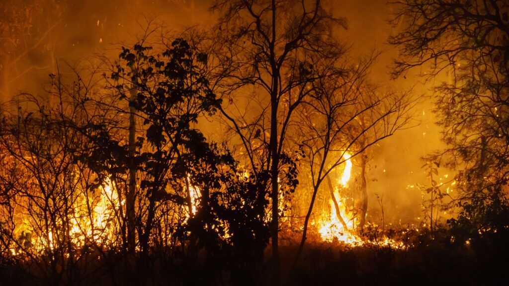 Côte-d’Or : la préfecture alerte sur la multiplication des incendies